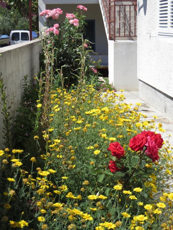 Apartment Cvita Biograd Na Moru Room photo