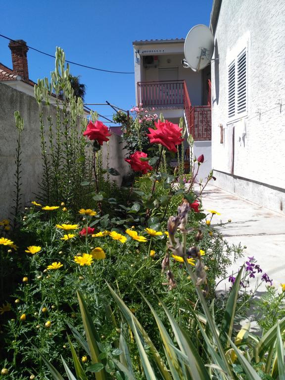 Apartment Cvita Biograd Na Moru Exterior photo
